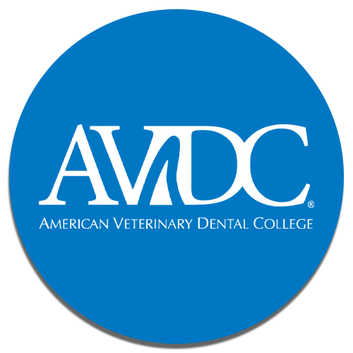 Homepage Button - AVDC