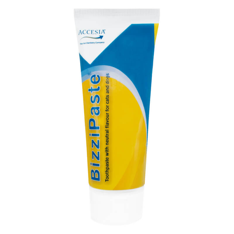 BizziPaste