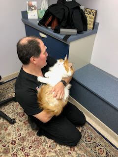 Doctor Holding Cat