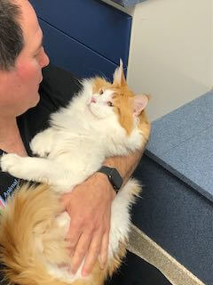 Doctor Holding Cat