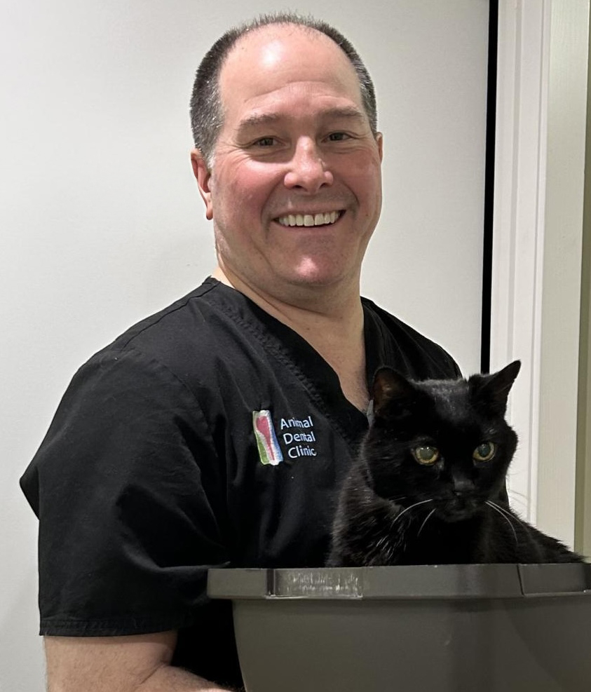 Animal Dental Clinic - Pet Clinic in Vienna VA