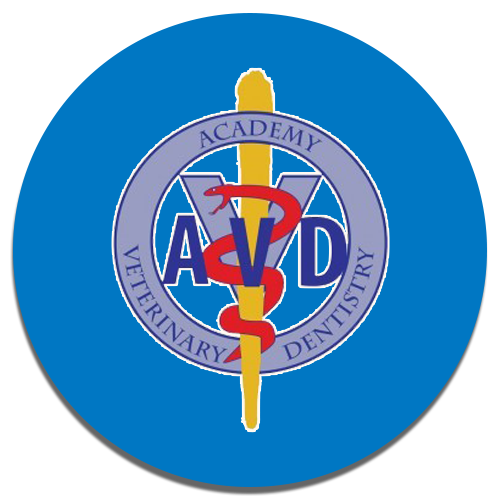 Homepage Button - AVD