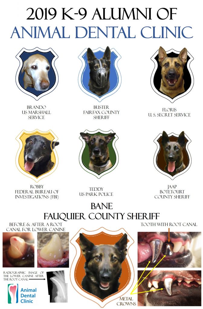 K-9 Alumni