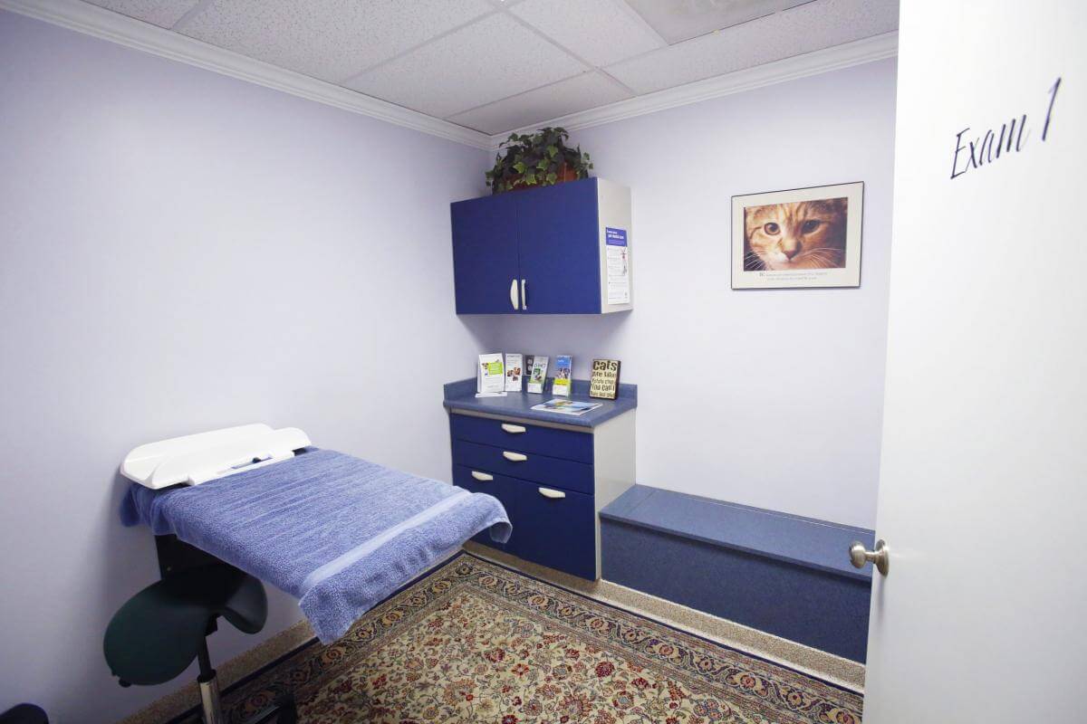 Exam Room